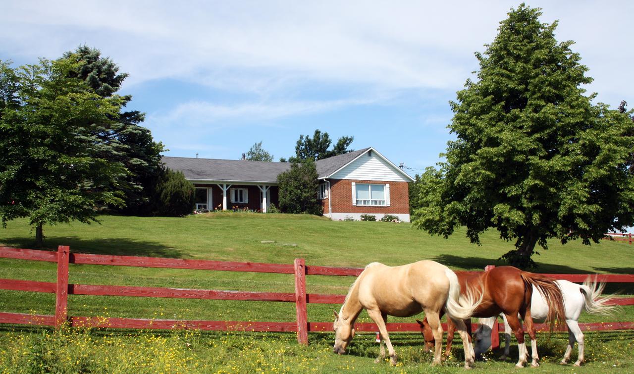 Bed and Breakfast Ranch St-Hubert Saint-Hermenegilde Zewnętrze zdjęcie